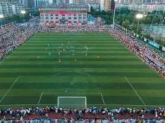 特雷,杨感叹,威慑力惊人,平博体育官网,平博体育直播,体育赛事直播,足球直播