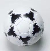 佩特罗鲁激,战克拉约瓦,大学,平博体育官网,平博体育直播,体育赛事直播,足球直播