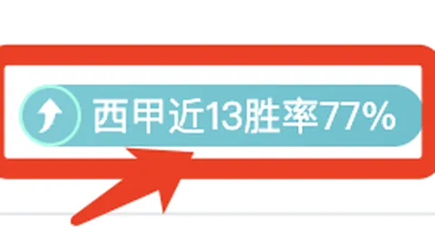 “桑谢斯租借期满回归本菲卡，转会费高达1000万欧元”